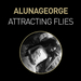 Attracting Flies (Remixes)