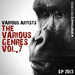 The Various Genres Vol 7 EP 2013