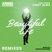 Beautiful Life (Remixes)