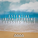 Essential Ibiza Clubbing Classics Vol 2