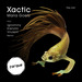 Xactic