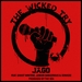 The Wicked Try (remixes)