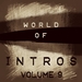 World Of Intros Vol 9 (Special DJ Tools)