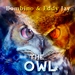 The Owl