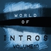 World Of Intros, Vol  10 (Special DJ Tools)