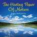 The Healing Power Of Nature Enjoy And Let Go