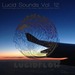 Lucid Sounds Vol 12 (A Fine & Deep Sonic Flow Of Club House Electro Minimal & Techno)