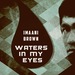 Waters In My Eyes (Incl Evan Rhodes mix)