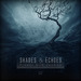 Shades & Echoes: Finest Dub Techno Vol  2