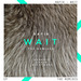 Wait EP (remixes)