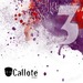 Callote Music 3 Years