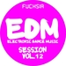 EDM Electronic Dance Music Session Vol 12: Fuchsia