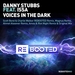 Voices In The Dark (remixes)