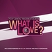 What Is Love (remixes)
