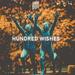 Hundred Wishes (remixes)