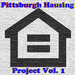 Pittsburgh Hausing Project Vol 1