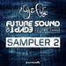 Future Sound Of Egypt, Vol 3 - Sampler 2