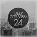 Deep City Vibes Vol 24