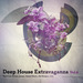 Deep House Extravaganza Vol 9