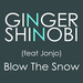 Blow The Snow