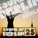 Sound Of Berlin Vol 25