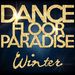 Dancefloor Paradise (Winter)