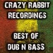 Crazy Rabbit Recordings Best Of Dub & Bass Music