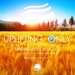 Uplifting Only: Fan Favorites 2014-2015 (Mixed By Ori Uplift)