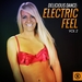 Delicious Dance/Electric Feel Vol 2
