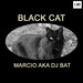 Black Cat