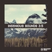 Ingenious Sounds Vol 3.5