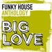 Big Love Funky House Anthology