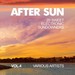 After Sun Vol 4 (20 Sweet Electronic Sundowners)