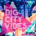 Big City Vibes Vol 1 (Selection Of Dance Music) (unmixed tracks)