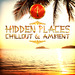Hidden Places/Chillout & Ambient 1