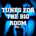 Tunes For The Big Room Vol 1