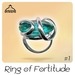 Ring Of Fortitude #1