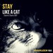Stay Like A Cat