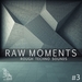 Raw Moments Vol 3: Rough Techno Sounds