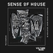 Sense Of House Vol 38 (Technoid House Music Selection 38)