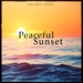 Peaceful Sunset Vol 3 (Lounge & Down Beat Tunes For Beach Bar, Cocktail Bar And Restaurant)