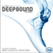 DJ SS & Influx UK Present: Deepsound Vol 2