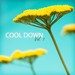 Cool Down Vol 1