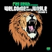 Welcome To The Jungle Vol 6: The Ultimate Jungle Cakes Drum & Bass Compilation (unmixed tracks)
