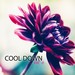 Cool Down Vol 6