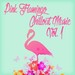Pink Flamingo Chillout Music Vol 1