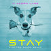 Stay