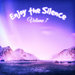 Enjoy The Silence Vol 7