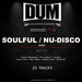 Soulful: Nu-Disco Album