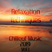Relaxation Techniques: Chillout Music 2019 Vol 2 (unmixed tracks)